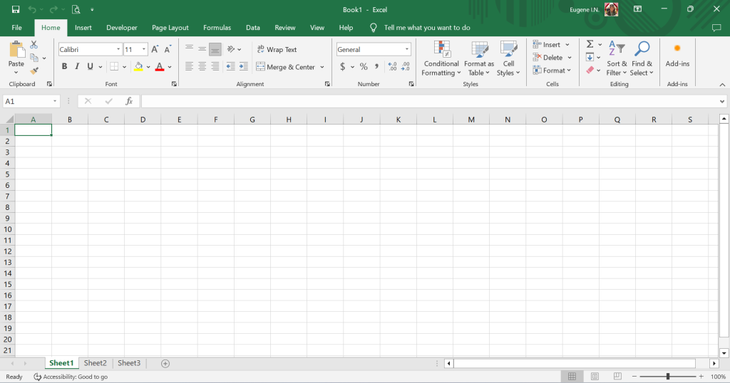 Snapshot of empty MS Excel window